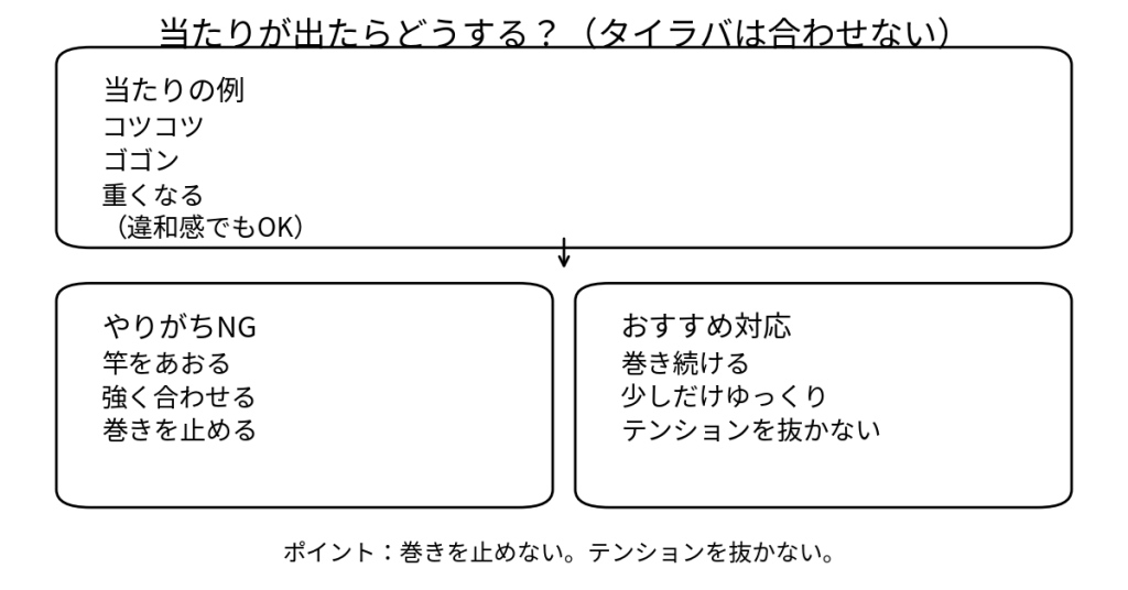 タイラバの当たりが出た時のNGとおすすめ対応（巻き続ける）